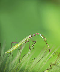 ���ֳ�����һ��