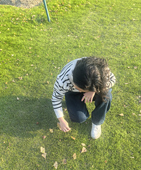 ʰ��һƬ����Ҷ���·���ס���������������