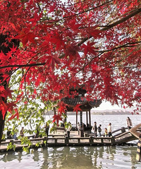 �ֵر�������˪�������������Ӱ���㽭����ĩ���23��