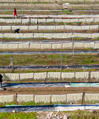 �ɾ����������ա�ɹ����3000��Ԫ