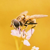 ���ֳ�����һ��