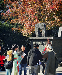 ���Ƹ�����ʲô��װ�̾�