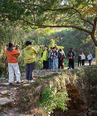 �ϻƹŵ�����ģ��������Ӧ�û����Щ