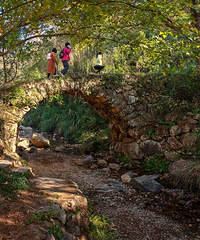 �ϻƹŵ�����ģ��������Ӧ�û����Щ