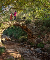 �ϻƹŵ�����ģ��������Ӧ�û����Щ