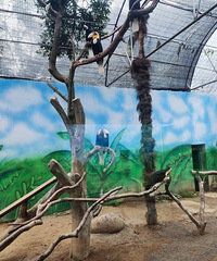 ����Ұ������԰һ����