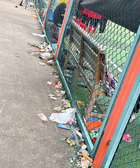 �����������ݳ������ˣ�