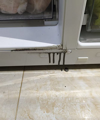 ����������������ӱ�����©������𣿣�