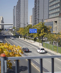 ���ڴ���ǰ���࣡·���������ṫ԰����