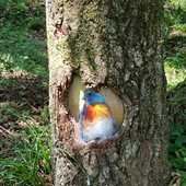 �Ļ��������