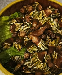 ������ʷ��ֻ�ͦ�ټ�����