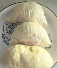 �򿨳�������8Ԫһ����ȱ����������ײ��ܳ�