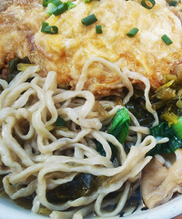 ������������ݵ�������