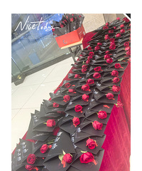 Ůȥ־磬־翪ʼǰÿ˻һõ廨