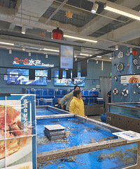 �������ϵķ���ȷʵ�����ˣ��տ�ҵ���ã�Ȼ�����½�