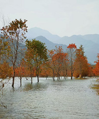 һ��һ�Ⱥ�����������Լ��̶������