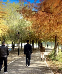 �����ˣ����߽����ͻ�����̨��������򿨵ز�Ҫ����