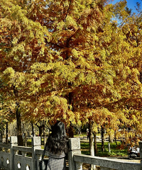 �����ˣ����߽����ͻ�����̨��������򿨵ز�Ҫ����