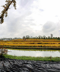 �߽���ʯ��