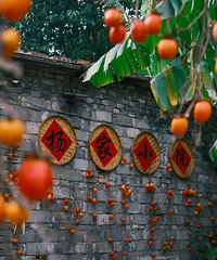 ���Խ��ǣ�Ψ�����ݣ�