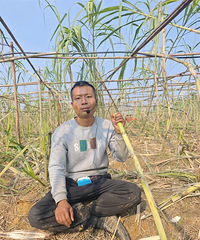 ڱ͵ˣũϰЦ͵ᡱ