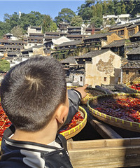 ȥ����ɹ����