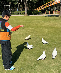 ɹ̫��ι����