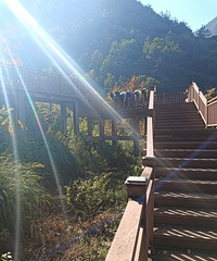 ����ܻ���ϻƹŵ�������ܿ���δ������100����