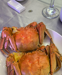 �Ի��磬�з�ͺ��κô��ٺ��ر����д�Բ�Ͱ�����ͷ