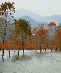 һ��һ�Ⱥ�����