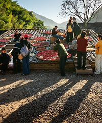 �ֿ����ڡ�ɹ����ڣ��������ҵ���㣬��Ҫ�շ���