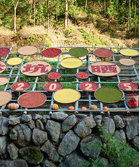 �ֿ����ڡ�ɹ����ڣ��������ҵ���㣬��Ҫ�շ���