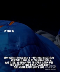 ����˯��ĸ��ǰ���ϣ���Ⱦͬ�ֲ���