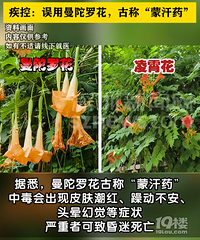 �������ҳ��ɺ�ҩ��Ů���������ɷ��˫˫̱��