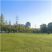 ����Ҳ�����򿨵Ĳ�ƺ