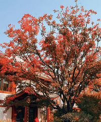 ��b�Ͻ�Ҳ̫��Ƭ�˰�