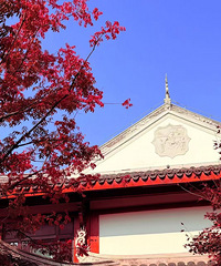 ��b�Ͻ�Ҳ̫��Ƭ�˰�