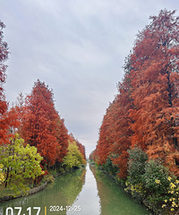 84��161ʨ��Ů����Ů�����޸�������������