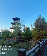 ·�����Ƿ羰