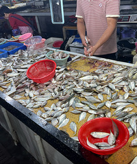 ˫����ڶ��ͣ�ƽ�����г���©10r��13����