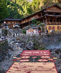 ��ɹ�����