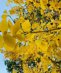 ̨����ĩ��Ҫ��20��+�����裬������һ������