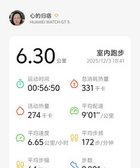 ��ΪGT5���ʳ��꣬�������������