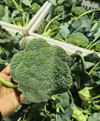 �۸���ǣ����������У��ѱ�����̨���ϰ壺�����첻������