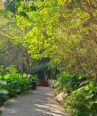 ϲ���Ͷ���