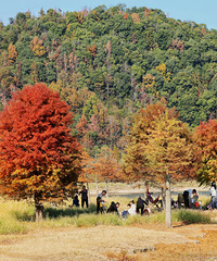 ��̶ˮ������֣��ֵ����ͺ����ֵļ���