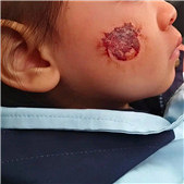 ��ֽ���޵�������