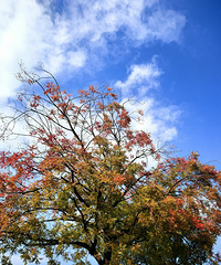 85��177����GG��ƫ������������˫�򱼸�����ϸ���