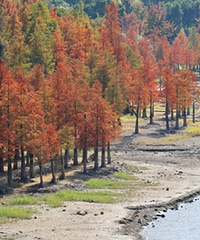 �ֵ����ͳ�̶ˮ������ֵļ���