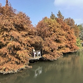 ���־�Ⱦ���ﶬ����